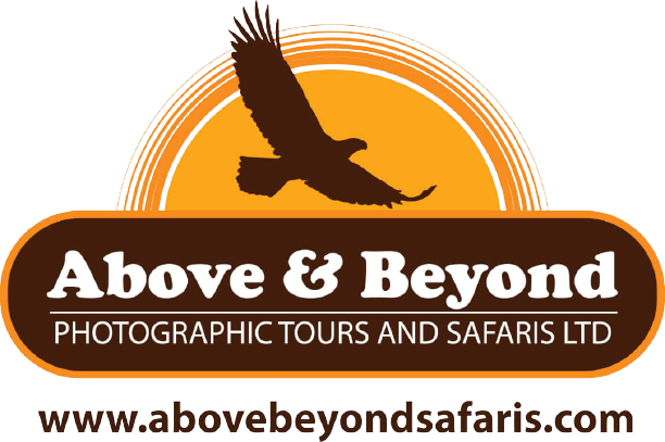 ABOVE & BEYOND PHOTOGRAPHIC TOURS AND SAFARIS