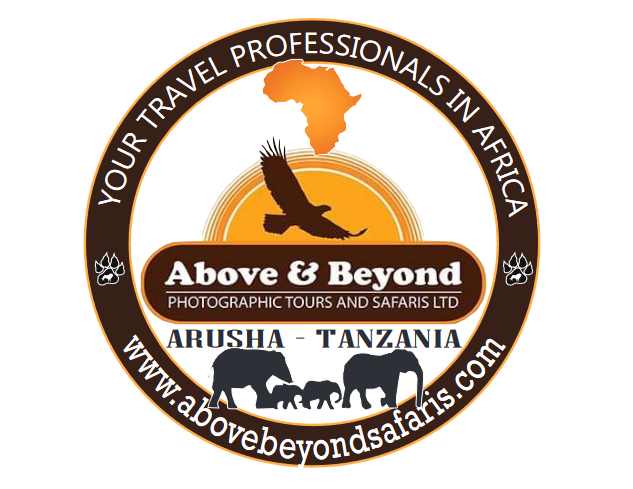 ABOVE & BEYOND PHOTOGRAPHIC TOURS AND SAFARIS